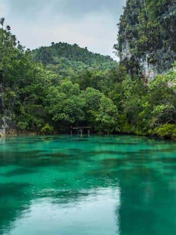 Secret Bay - Raja Ampat
